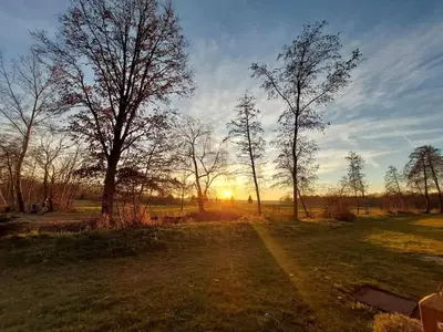 a sunset in a field with trees and a dirt road at Apartment Trobentica 40 Moravske Toplice - SPA in Moravske Toplice