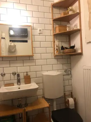 a bathroom with a sink and a toilet at Birch central studio on main square in Ljubljana