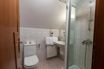 a bathroom with a toilet and a sink and a shower at Gostišče Prosnik in Ormoz