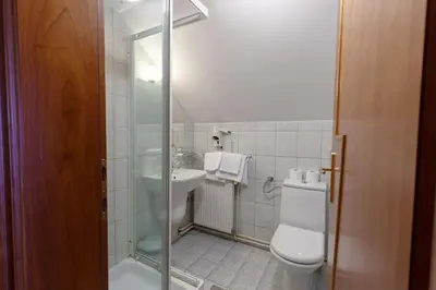 a bathroom with a toilet and a sink and a shower at Gostišče Prosnik in Ormoz