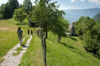 a group of people walking down a path in a field at Tourist Farm Kranjc in Kobarid
