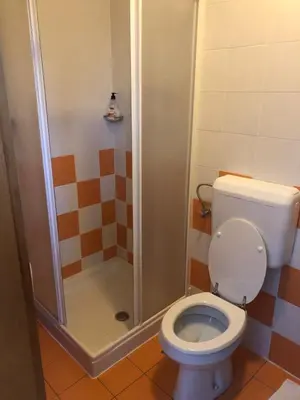 a bathroom with a toilet and a shower at BC10 in Bovec
