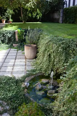 a garden with a pond with a plant in a pot at Villa Magnolia in Ljubljana