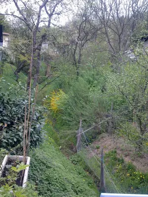 a fence in a garden with trees and bushes at ANERI in Ljubljana