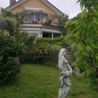 ANERI