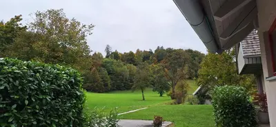 a view of a green yard with trees in the background at Garden living in Bled