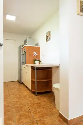 a kitchen with a counter and a refrigerator at Wineyard getaway house in Sevnica