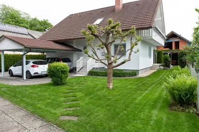 a house with a green yard with a tree at Orchid room for 2, Skylight room for 2 in Kranj