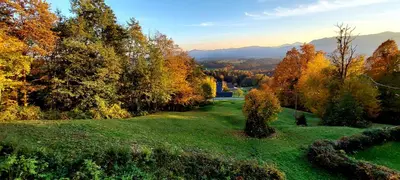 a green field with trees and mountains in the background at Alpinejka House in Tržič