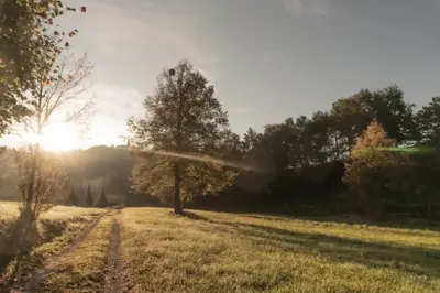 a field with trees and the sun in the background at Genius Guest Unique Banovci Apartment in Banovci