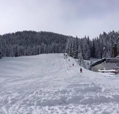 a group of people skiing down a snow covered slope at Chalet Stara Jelka Pokljuka in Zgornje Gorje