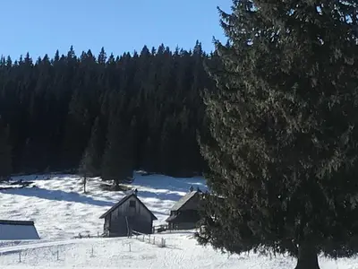 a group of barns in a snowy field with trees at Chalet Stara Jelka Pokljuka in Zgornje Gorje