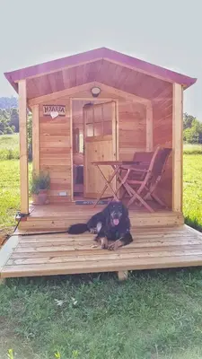 a black dog laying on a wooden deck next to a dog house at Camp The sunrise hill in Pivka