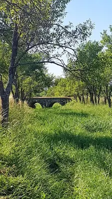 a field of grass with a bridge in the background at Camp The sunrise hill in Pivka