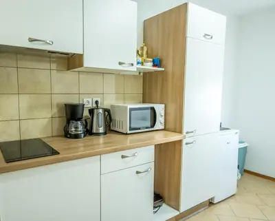 a kitchen with a white refrigerator and a microwave at Apartmaji Anja in Bled