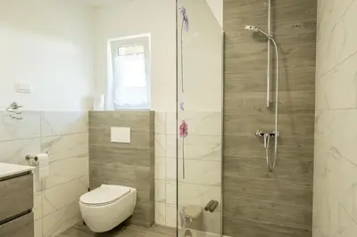 a bathroom with a toilet and a shower at Apartmaji Anja in Bled