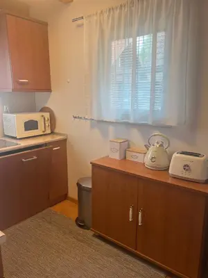 a kitchen with a microwave on top of a counter at Bella Mura Nature House I26 in Podčetrtek