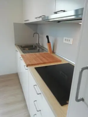 a small kitchen with a sink and a counter at CARNIOLAN HOUSE - GORENSKA HIŠKA in Radovljica