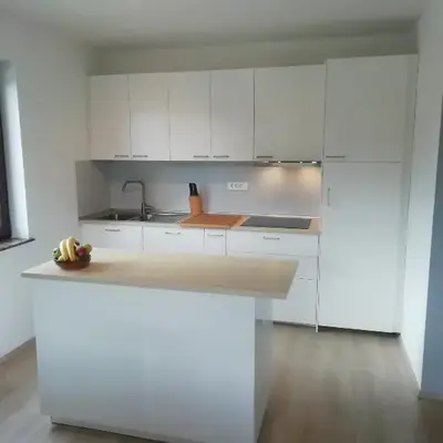 CARNIOLAN HOUSE - GORENSKA HIŠKA