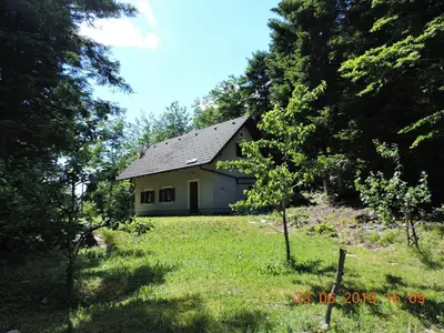 a house in the middle of a field with trees at Guest House Nanos in Vipava