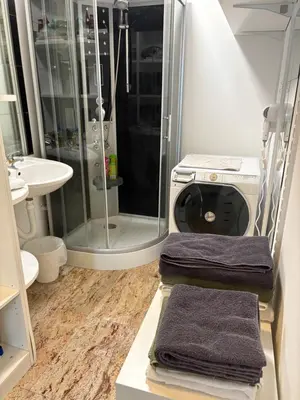 a bathroom with a shower and three towels on a counter at Homestay Free Park&Bikes in Ljubljana