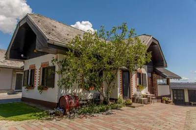 a house with a tree in front of it at Vinska klet Smej in Lendava