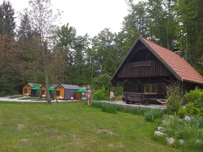 a house in the middle of a yard with trees at Estate Marjetin dom in Idrija