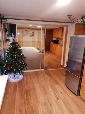 a living room with a christmas tree in a room at Apartma na Ravnicah in Cerkno