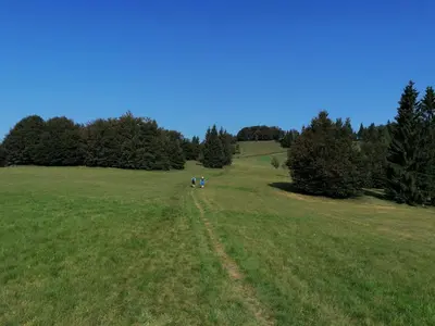 two people walking in a field with trees at Apartma na Ravnicah in Cerkno