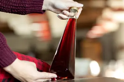 a person holding a bottle of red wine at Domačija Vesel in Trebnje