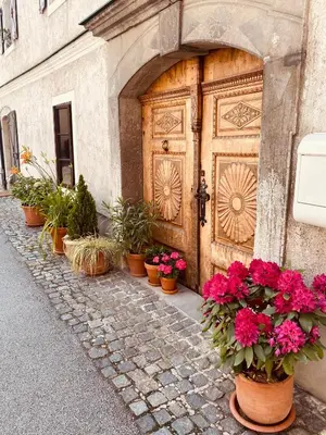 a bunch of potted plants in front of a wooden door at Apartment Center in Kamnik