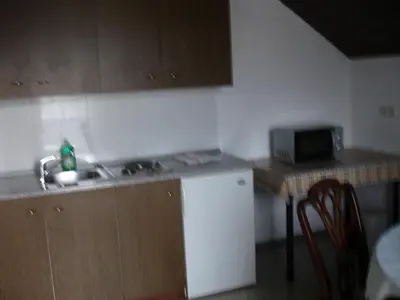 a kitchen with a sink and a counter with a microwave at Tiffany Pension Bled in Bled