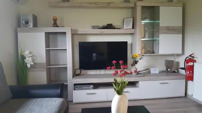 a living room with a television and a vase with flowers at NA OFF in Radenci