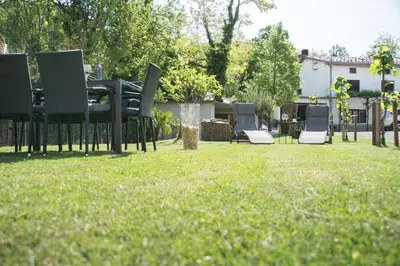 a group of chairs sitting on the grass in a yard at Apartment Vidus Wine Estate in Podnanos
