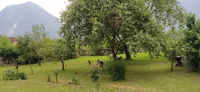 a field with a tree and a mountain in the background at Soca treasure with free parking in Bovec