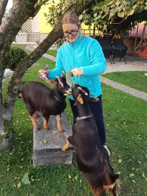 a woman standing next to two goats at Homestay Kapl in Ledinek