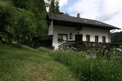 a white house on a hill with a green field at Village House in Železniki