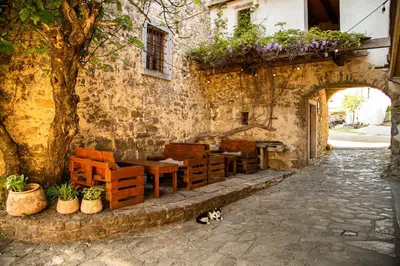 a cat sitting in front of a building with tables and chairs at Boutique Rooms & Winery Žorž in Vipava