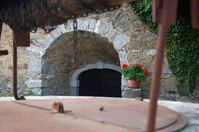 a door with a potted plant in front of a building at Boutique Rooms & Winery Žorž in Vipava