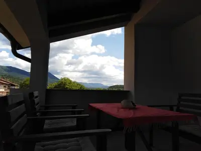 a bird sitting on a table in a room with a window at Jasna rooms in Ilirska Bistrica