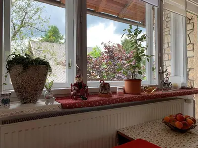 a window sill with plants and figurines on it at House Amalia in Bled