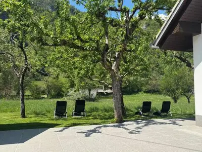 three chairs sitting under a tree in a yard at Jack's Apartments in Bled