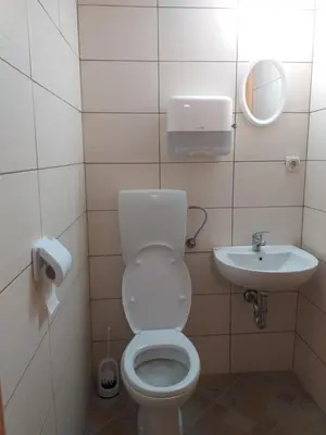 a small bathroom with a toilet and a sink at Sobe SM0LEJ in Bled