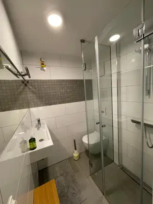 a bathroom with a shower and a sink and a toilet at Mr and Mrs Bright 5 in Ljubljana