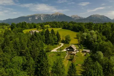 an aerial view of a house in a forest at Apartment Life in Bled