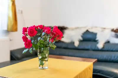 a vase of red flowers sitting on a table at Apartment Life in Bled