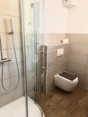 a bathroom with a toilet and a glass shower at Apartments Kamp Podgrad Vransko in Vransko