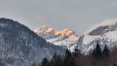 a snow covered mountain range with trees in the foreground at Apartments Vila Darja in Bohinj