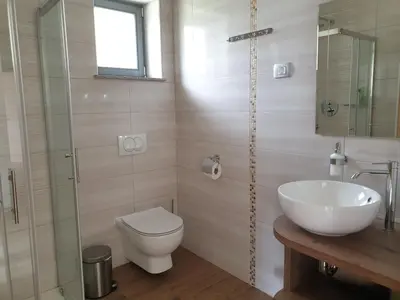 a bathroom with a white toilet and a sink at Apartments Vila Darja in Bohinj