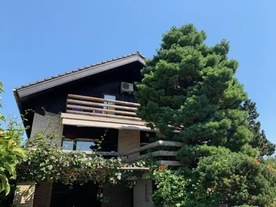 a building with a tree in front of it at Ela's Apartment in Komenda